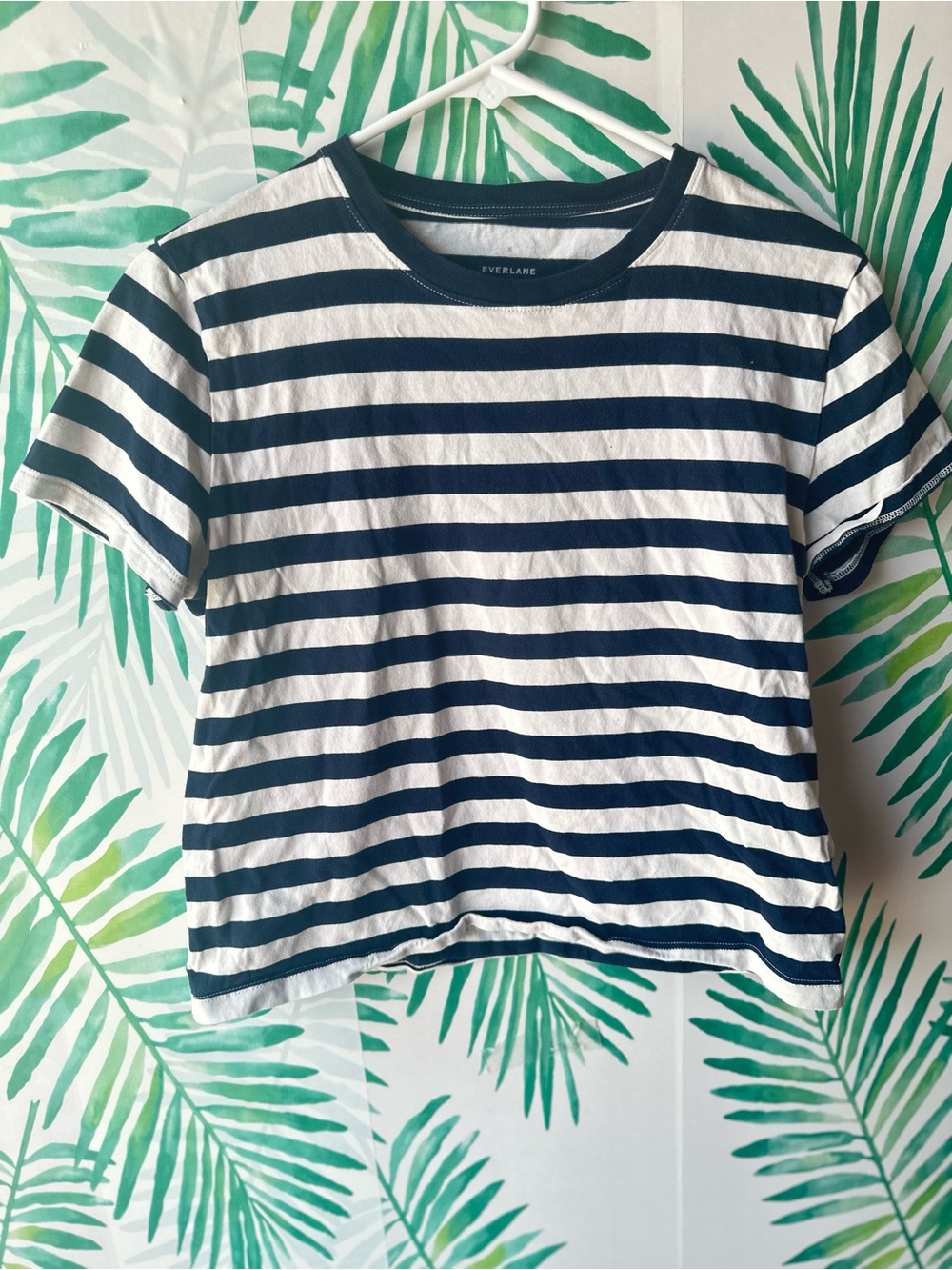 Everlane Navy and White Striped Crop Tee